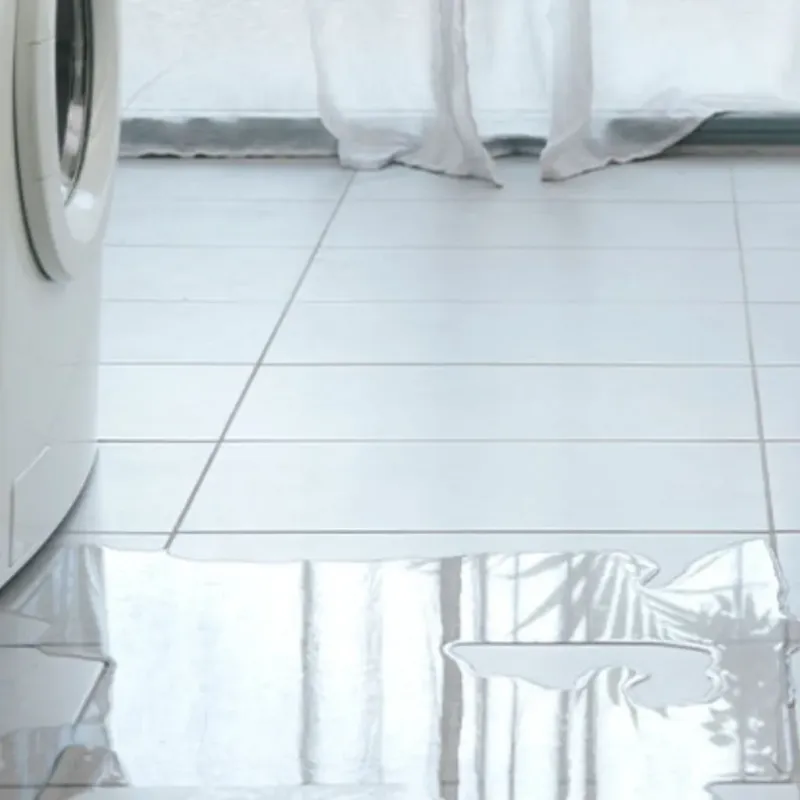 Appliance Leak Cleanup in Reno, TX