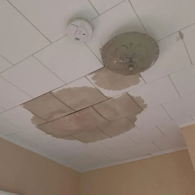Ceiling Water Damage Repair in Reno, TX