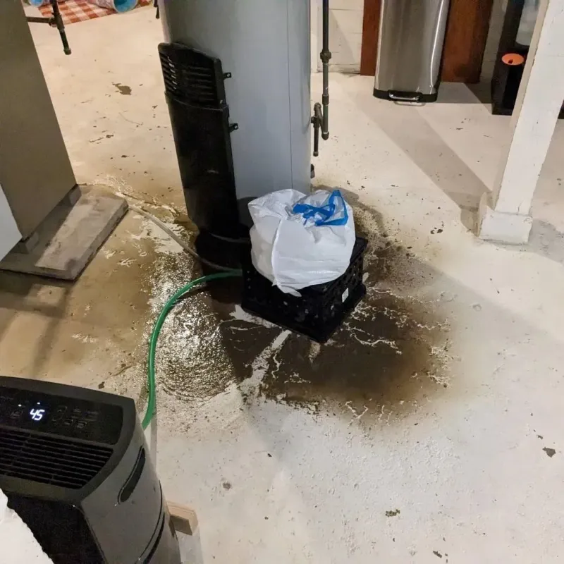 Sewage Backup Cleanup Service in Reno, TX